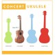 Kala KALA-LTP-C Learn To Play Concert Ukulele Starter Kit