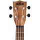 KALA-LTP-T ukulele ténor avec kit de départ